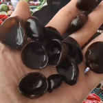 Dried Black Fungus Manufacturer - Wholesale Cultivated