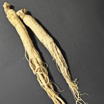 Panax Ginseng Root Supplier - Agriculture Product