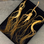 White Ginseng Roots Supplier - High Quality Customizable