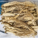 Dried Ginseng Manufacturer - Northeast Origin