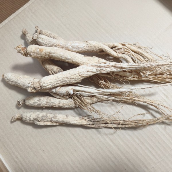 Changbai Mountain Ginseng Supplier - Natural Power