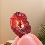 Freeze Dried Cranberries Supplier - Organic Whole Berries