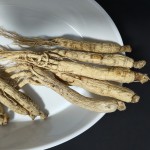 White Ginseng Root Factory - Wild Plant Sizes