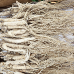 Changbai Mountain Ginseng Manufacturer - Pure Northern