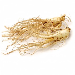 Raw Ginseng Supplier - Wholesale Dried Style