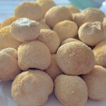 Lion's Mane Mushrooms Manufacturer - Wild Dried Health