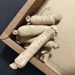 Organic Dried Cranberry Factory - Whole Fruit Instant