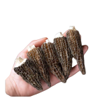 Dried Morel Mushrooms Factory - Wild Cultivated Hot