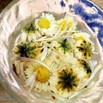 Ginseng Juice Supplier - Solvent Extracted Healthy