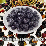 Dried Blueberries Factory - Natural Sweet Bulk