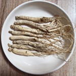 Fruit Teas Factory - Wholesale Healthy Refreshing