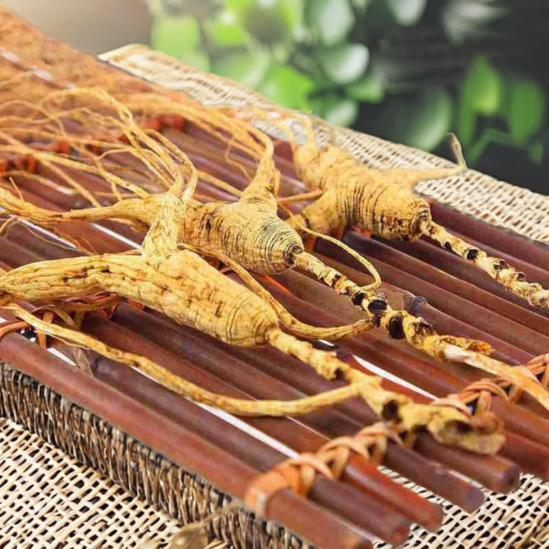 Panax Ginseng Root Manufacturer - White Dried 24 Months