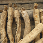 Jilin Pine Nuts Supplier - Roasted Nutrient Rich