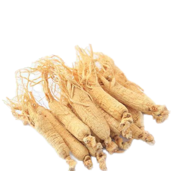 Changbai Mountain Ginseng Supplier - Authentic Nourishing