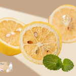 Freeze Dried Lemon Slices Supplier - Organic Bulk Packaging