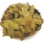 Bay Leaves Supplier - Dried Natural Laurel Leaf Wholesale