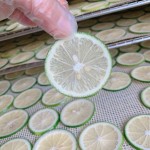 Dragon Fruit Slice Factory - Red Tropical Loose