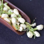 Snow Chrysanthemum Tea Manufacturer - Kunlun Mountain