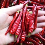 Chili Pepper Factory - Cayenne Red Dried Whole