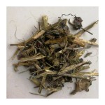 Passionflower Tea Supplier - Dried Passiflora Foetida