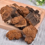Chaga Mushroom Factory - Natural Block Cut Bulk