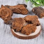 Chaga Mushroom Factory - Natural Block Cut Bulk