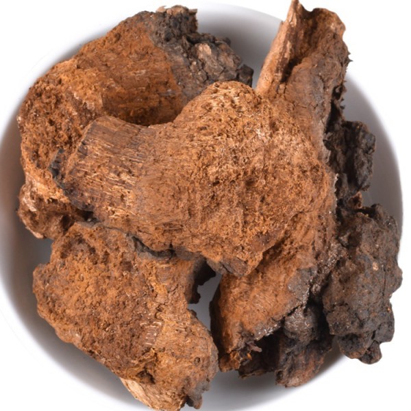 Chaga Mushroom Factory - Natural Block Cut Bulk
