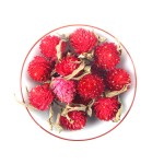 Lily Flower Tea Manufacturer - Medicinal Dried Bulk