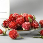 Lily Flower Tea Manufacturer - Medicinal Dried Bulk