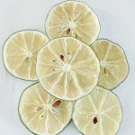 Dragon Fruit Slice Factory - Red Tropical Loose