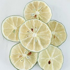 Dragon Fruit Slice Factory - Red Tropical Loose