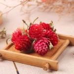 Lily Flower Tea Manufacturer - Medicinal Dried Bulk