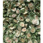 Tea Bags Supplier - Pyramid Shape Herbal Infusion