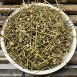 Hedyotis Herb Factory - Bai Hua She Cao Dried Bulk