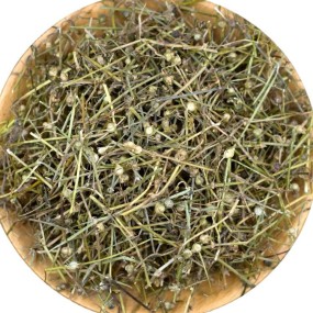 Hedyotis Herb Factory - Bai Hua She Cao Dried Bulk