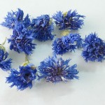 Ganoderma Powder Factory - Spore Broken Pure