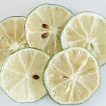 Dragon Fruit Slice Factory - Red Tropical Loose