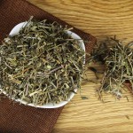 Scutellaria Supplier - Ban Zhi Lian Dried Herbal