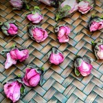 Globe Amaranth Tea Supplier - Red Artful Herbal