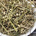 Hedyotis Herb Factory - Bai Hua She Cao Dried Bulk