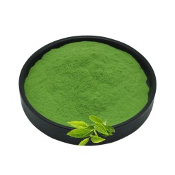 Matcha Tea Supplier - Halal 6A Powder Bulk