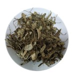 Bearberry Leaves Factory - Lingonberry Leaf Dried