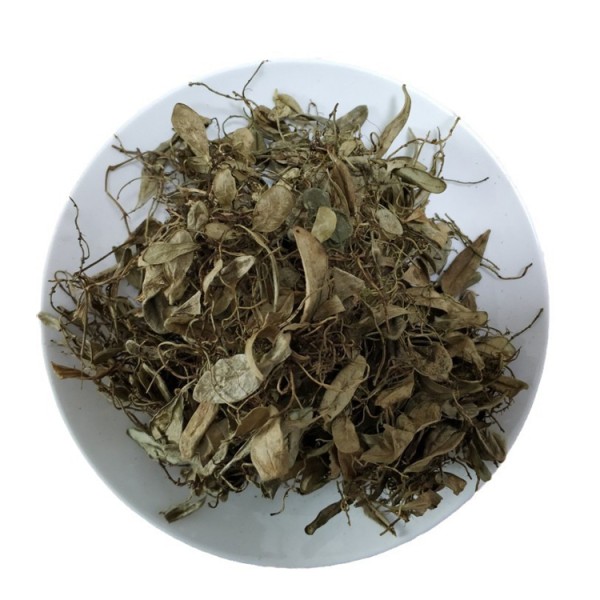 Bearberry Leaves Factory - Lingonberry Leaf Dried