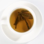 Kuding Tea Manufacturer - Bitter Herbal Needle Leaves
