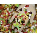 Figs Supplier - Whole Bulk Freeze Dried