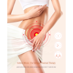 Infrared Plaster Supplier - Postpartum Care Women 2pcs