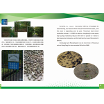 Toad Extract Supplier - Bufo Cantor Powder Traditional