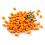 Sea Buckthorn Powder Manufacturer - Organic Juice Extract