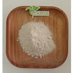 Astragalus Root Extract Manufacturer - Cycloastragenol TA-65