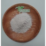 White Tomato Extract Manufacturer - Water Soluble Anti Aging